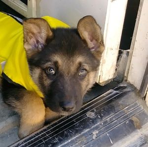 Meet your Posher, Denise